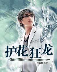 护花狂龙易军真实身份