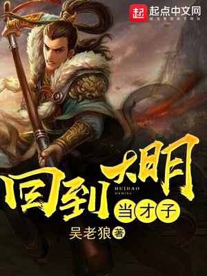 回到大明当才子TXT下载