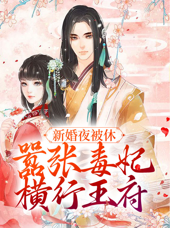 新婚当天被休高兴离开王爷