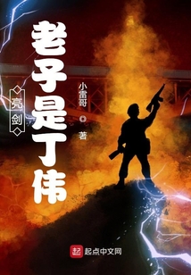 亮剑:老子是丁伟 小雷哥