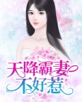 天降甜妻霸道