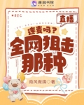 直播时连麦是什么意思