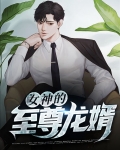 女神的至尊兵王免费阅读全文