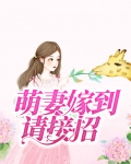 萌妻嫁到总裁请接招