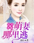 掠妻成瘾:萌妻乖乖就擒