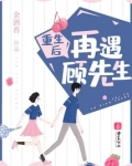 重生后再遇顾先生