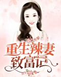 重生八零之致富小辣妻