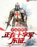 中世纪十字军小说