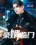 豪婿临门王锐