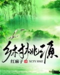 乡村桃源小说免费阅读
