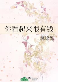 你看起来很有钱全文免费阅读