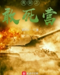 亮剑之敢死营最新