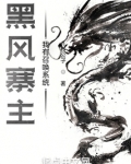 黑风寨主：我有召唤系统