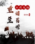 重生诸葛瞻之三兴大汉