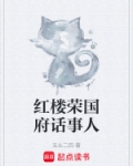 红楼梦荣国府人物关系图
