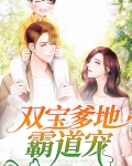 双宝千亿爹地超宠妻