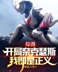 综漫：开局奈克瑟斯，我即是正义