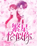 恰似繁星遇辰光免费阅读