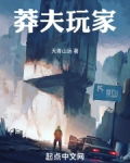 莽夫玩家 小说
