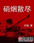 硝烟散尽电视剧剧情介绍