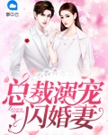 闪婚总裁霸道宠妻