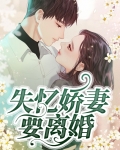 失忆娇妻要离婚全文阅读
