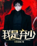 弃少改编