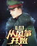 谍战:从风筝开始 小说
