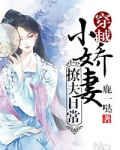 小娇妻对应是什么